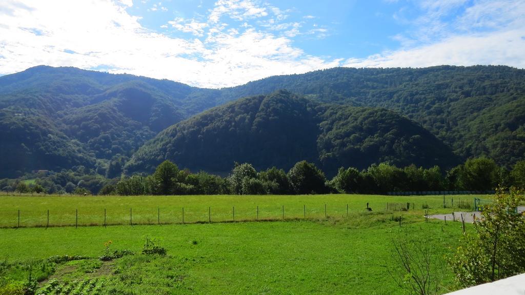 Apartma Patricija - Big Apartment For 6 Tolmin Bagian luar foto